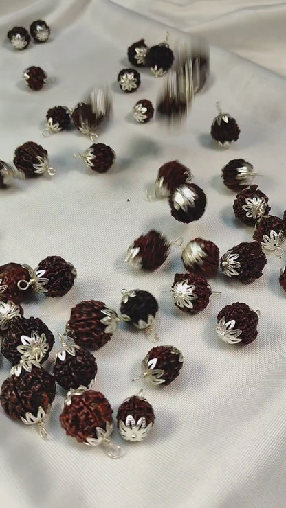 7 Mukhi Rudraksha for brings opportunities, growth and success