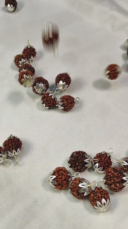 6 Mukhi Rudraksha