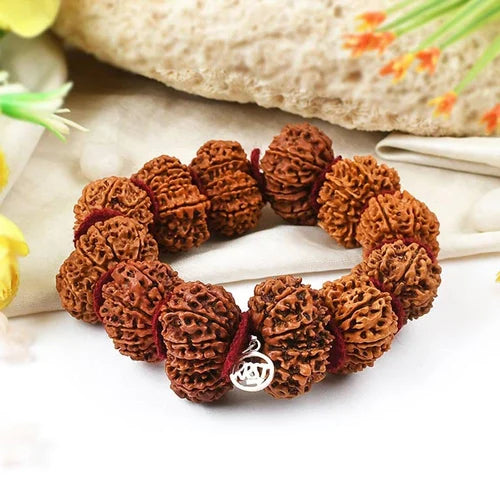 12 Mukhi Rudraksha